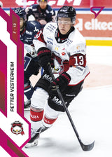 144 MIF P. VESTERHEIM - PINK